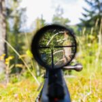 Marius Dobilas / shutterstock.com