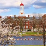 Jorge Salcedo / shutterstock.com